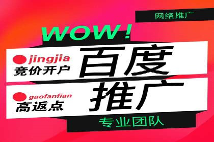 竞价代运营助力电商销量翻倍案例